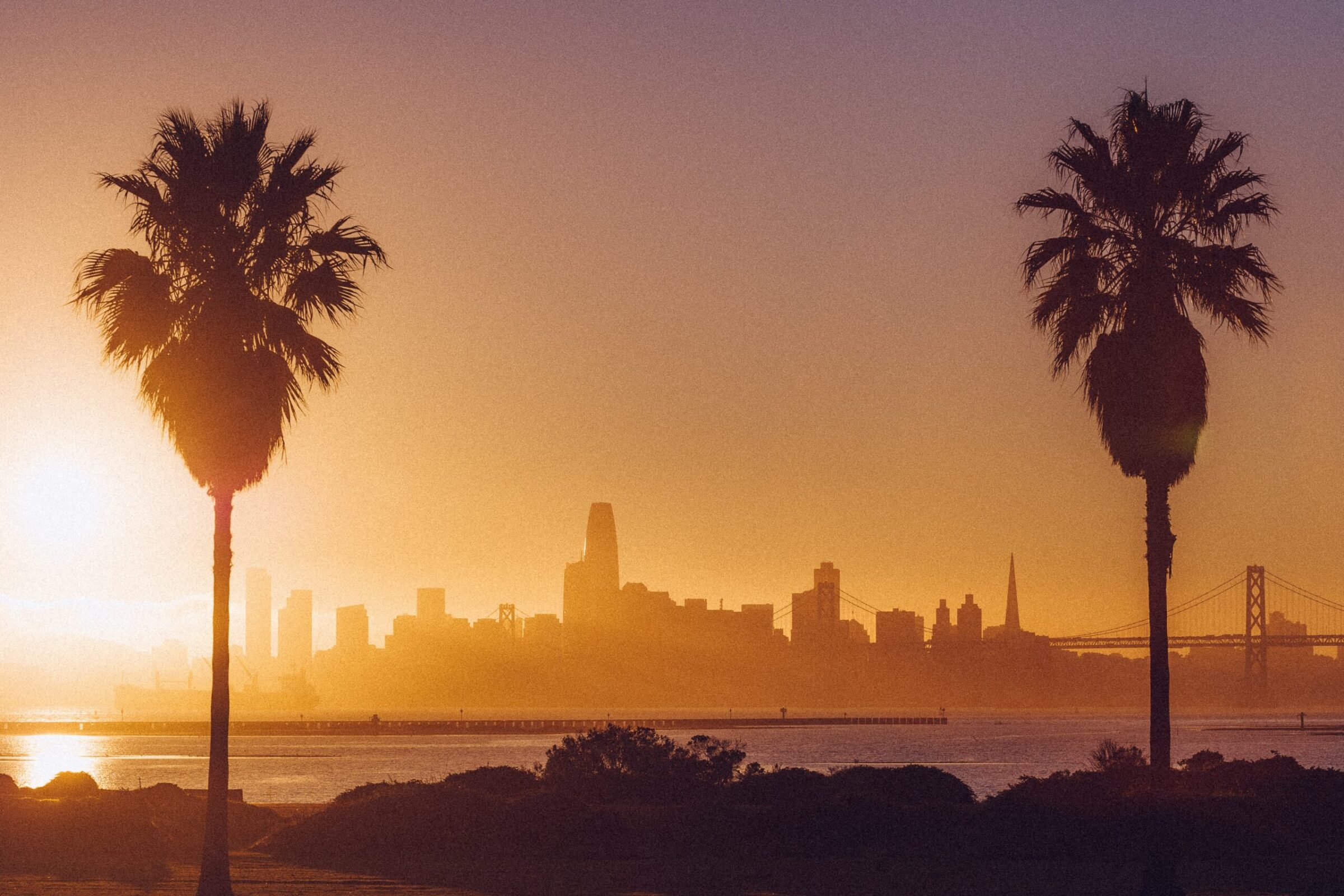 Silhouetted palm trees frame a golden sunset over the San Francisco skyline and Bay Bridge as seen from Treasure Island waterfront.