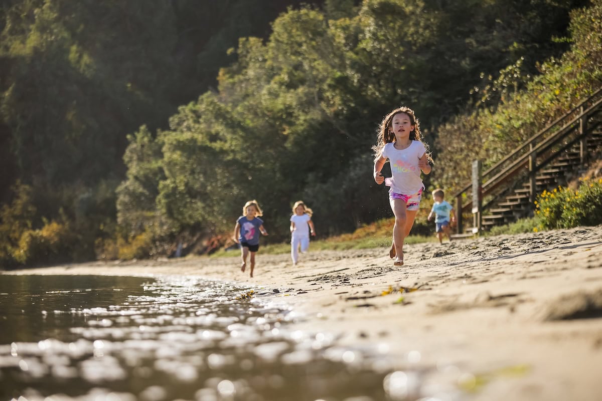 Children running along a sunny riverbank shoreline with trees in the background during a summer outdoor family outing.
